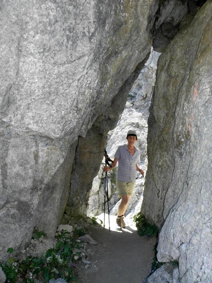 Ferienwohnungen Salvenmoser Johanna Scheffau am Wilden Kaiser Exterior photo