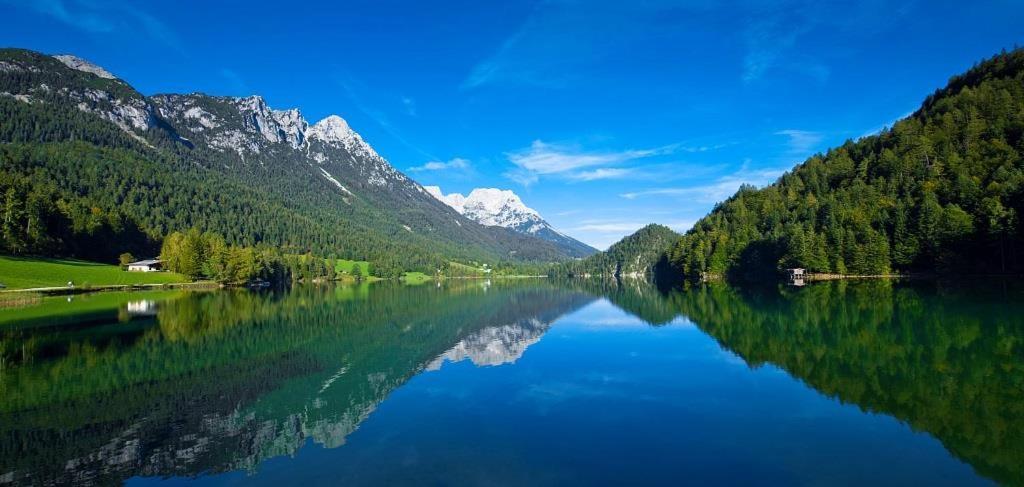 Ferienwohnungen Salvenmoser Johanna Scheffau am Wilden Kaiser Exterior photo