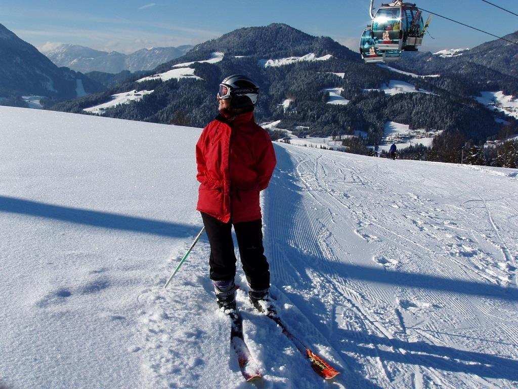 Ferienwohnungen Salvenmoser Johanna Scheffau am Wilden Kaiser Exterior photo