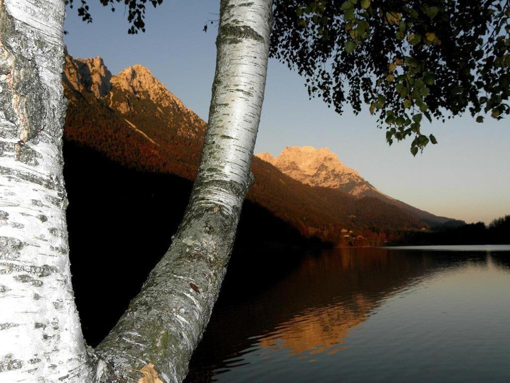 Ferienwohnungen Salvenmoser Johanna Scheffau am Wilden Kaiser Exterior photo